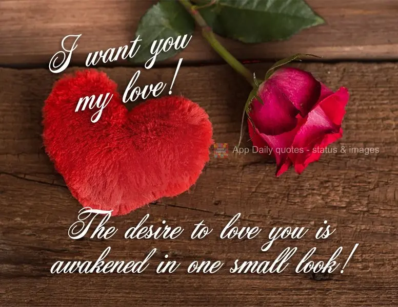 The desire to love you is awakened in one small look! I want you my love!
