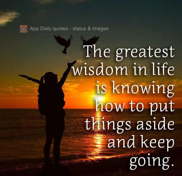 The greatest wisdom in life is knowing how to put things aside and move forward.