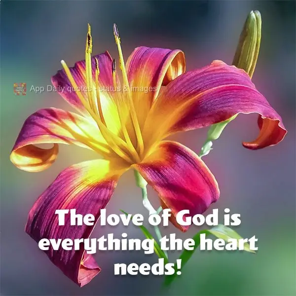 The love of God is all the heart needs!