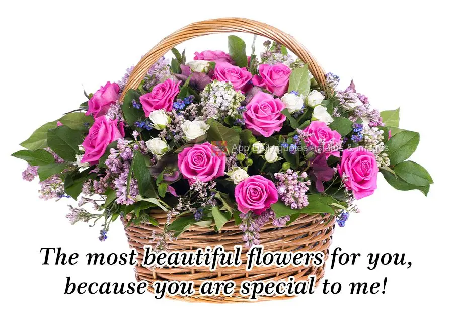 The most beautiful flowers for you, because you are special to me!