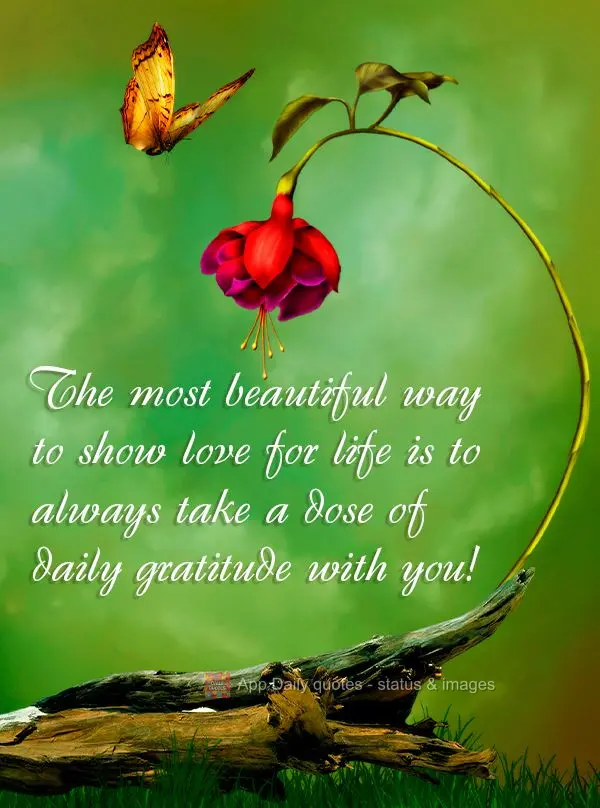 The most beautiful way to show love for life is to always take a dose of daily gratitude with you!