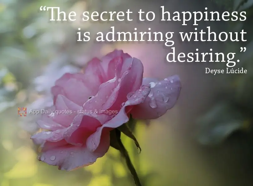 The secret to happiness is admiring without desiring.    Deyse Lúcide