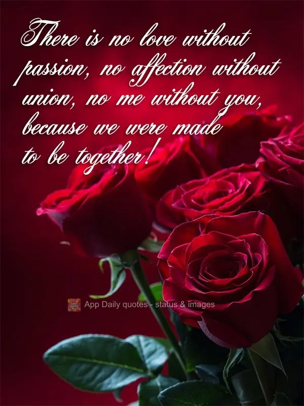 There is no love without passion, no affection without union, no me without you, because we were made to be together!