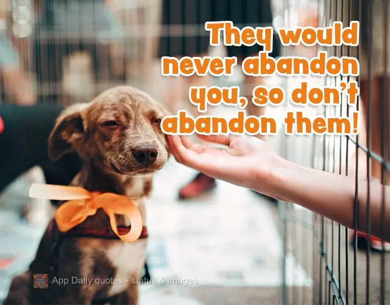 They would never abandon you, so don't abandon them!