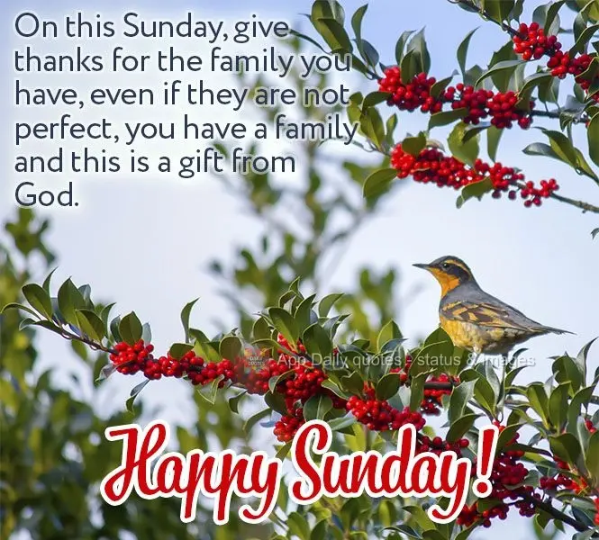 This Sunday, give thanks for the family you have, even if they are not perfect. You have a family, and this is a gift from God. Happy Sunday!
