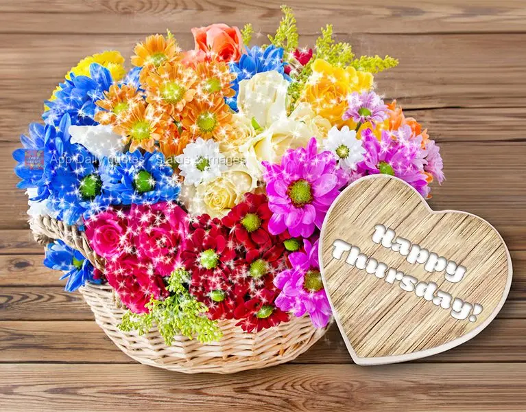 Happy Thursday!