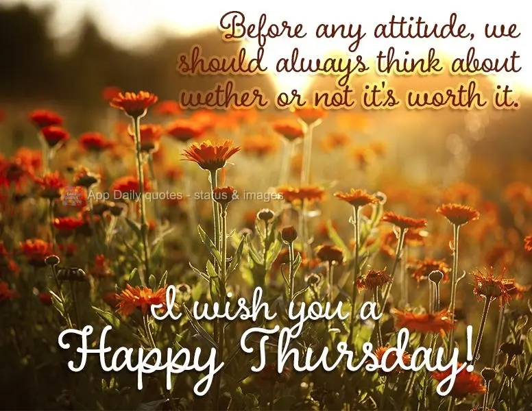 Before having a bad attitude, we should always think about wether or not it's worth it. I wish you a Happy Thursday!