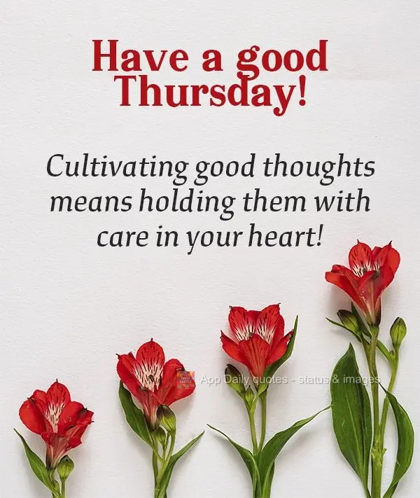 Cultivating good thoughts means holding them with care in your heart!  Have a good Thursday! 