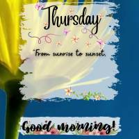 Thursday
"From sunrise to sunset, may the name of the Lord be praised."
Psalms 113:3
Good morning Good morning, Thursday Psalms 113:3
