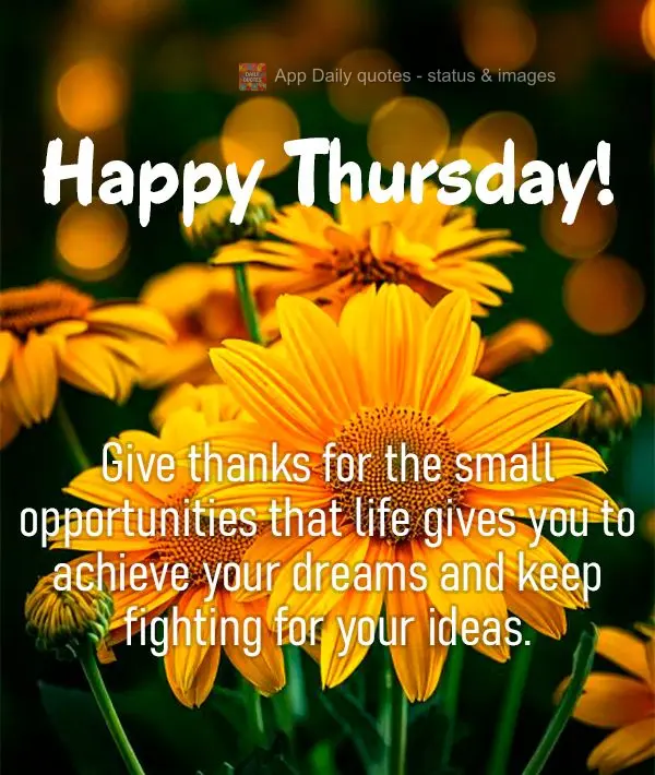 Give thanks for the small opportunities that life gives you to achieve your dreams and keep fighting for your ideas. Happy Thursday!