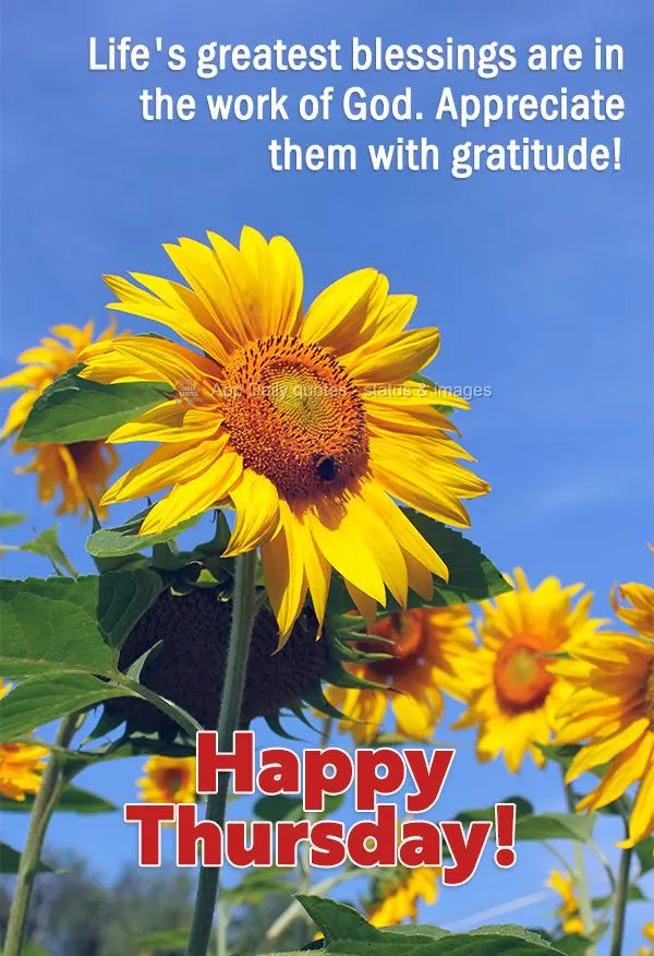 Life's greatest blessings are in the work of God. Appreciate them with gratitude! Happy Thursday!