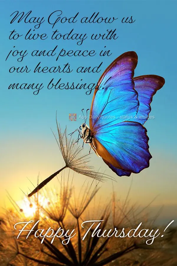May God allow us to experience today with joy and peace in our hearts and many blessings! Happy Thursday!