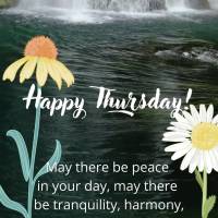 May there be peace in your day, may there be tranquility, harmony, and gratitude as well, because you deserve the best things that comfort your heart! Ha...