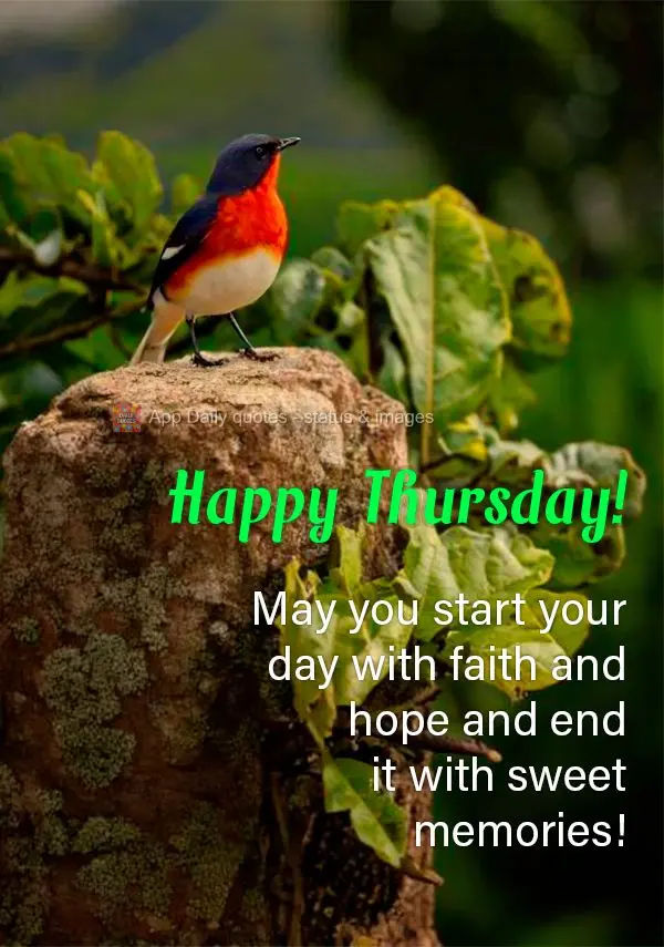 May you start your day with faith and hope and end it with sweet memories! Happy Thursday!