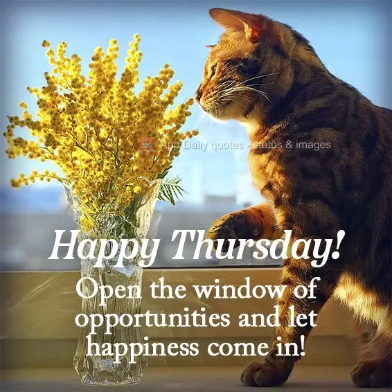 Open the window of opportunities and let happiness come in! Happy Thursday!