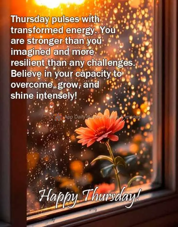 Thursday pulses with transformed energy. You are stronger than you imagined and more resilient than any challenges. Believe in your capacity to overcome,...