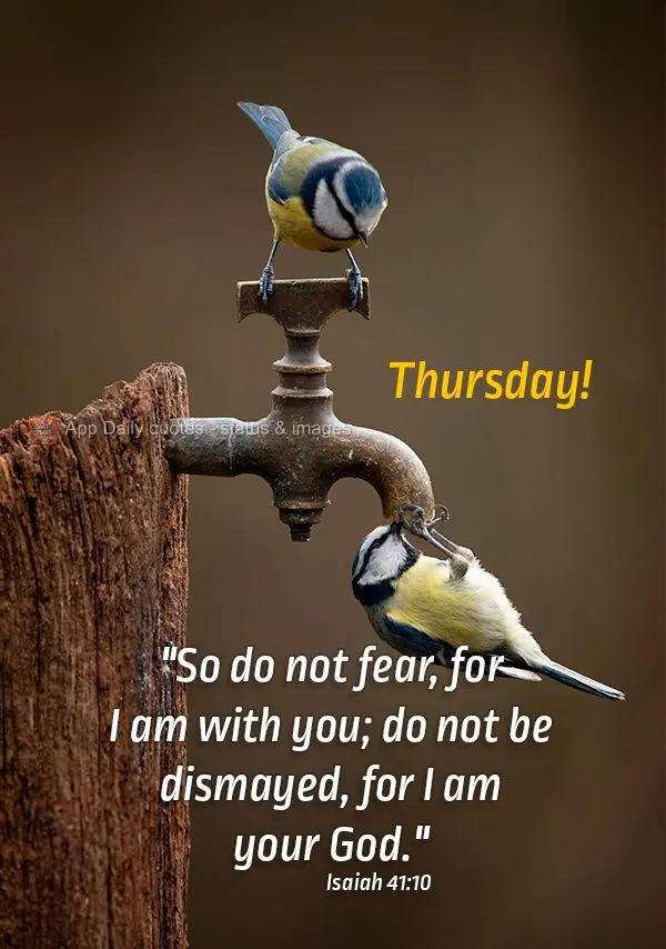 "So do not fear, for I am with you; do not be dismayed, for I am your God." Thursday! Isaiah 41:10