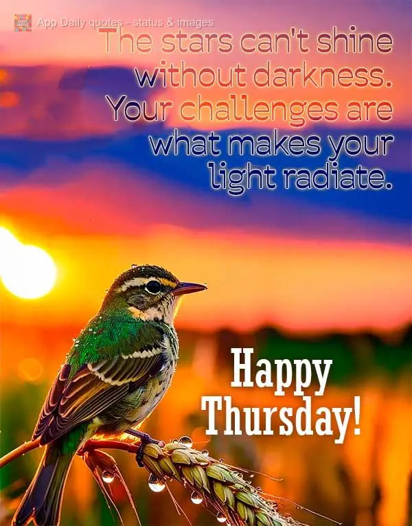 The stars can't shine without darkness. Your challenges are what makes your light radiate. Happy Thursday!