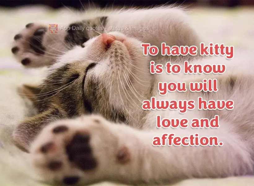 To have a kitty is to know you will always have love and affection.