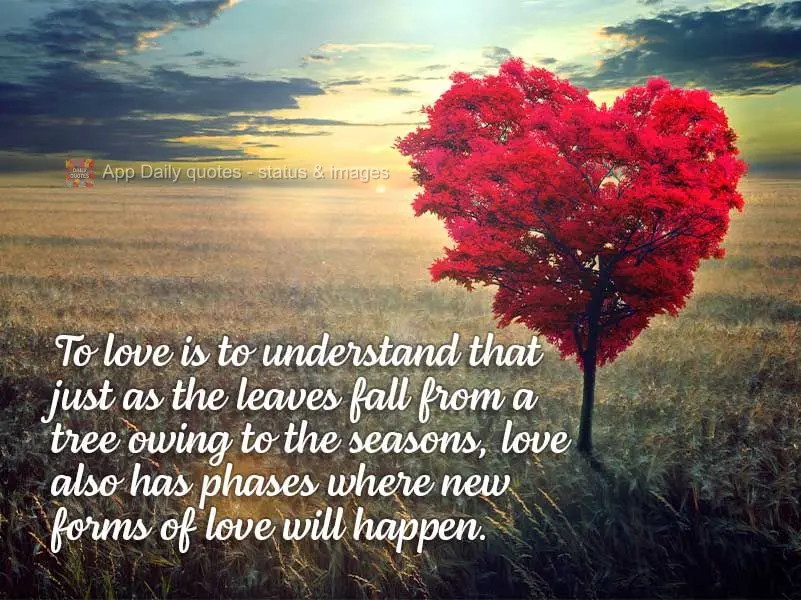 To love is to understand that just as the leaves fall from a tree owing to the seasons, love also has phases where new forms of love will appear.
