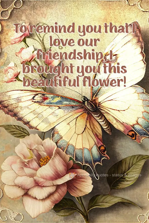 To remind you that I love our friendship, I brought you this beautiful flower!