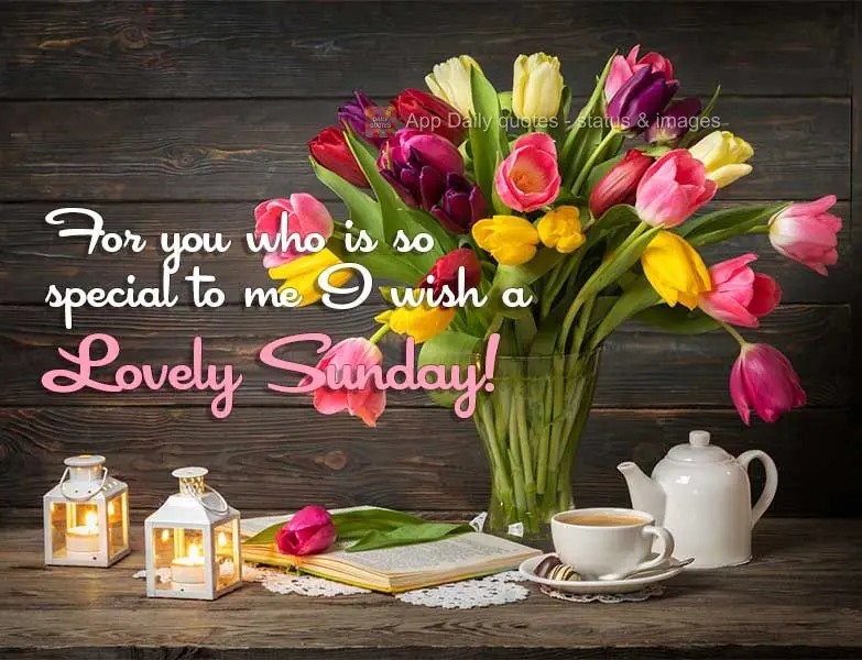 To you, who is so special to me, I wish a Lovely Sunday!