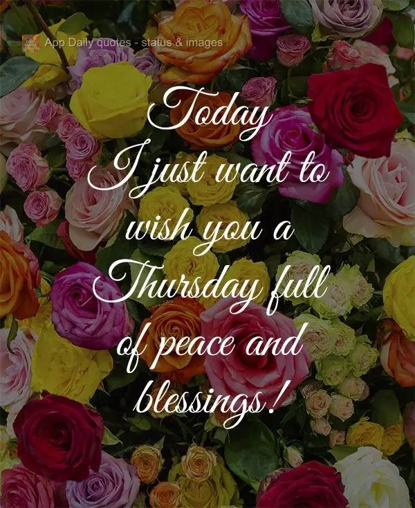 Today I just want to wish you a Thursday full of peace and blessings!