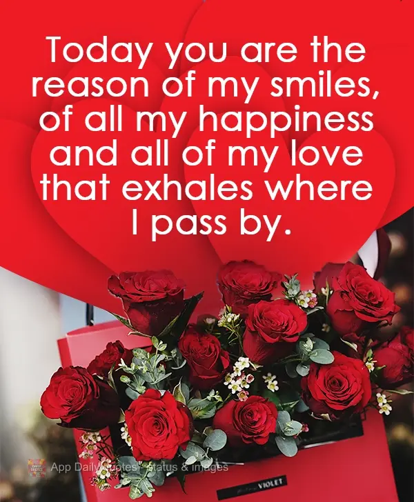 Today you are the reason for all of my smiles, all of my happiness, and all of the love that I exude wherever I go.