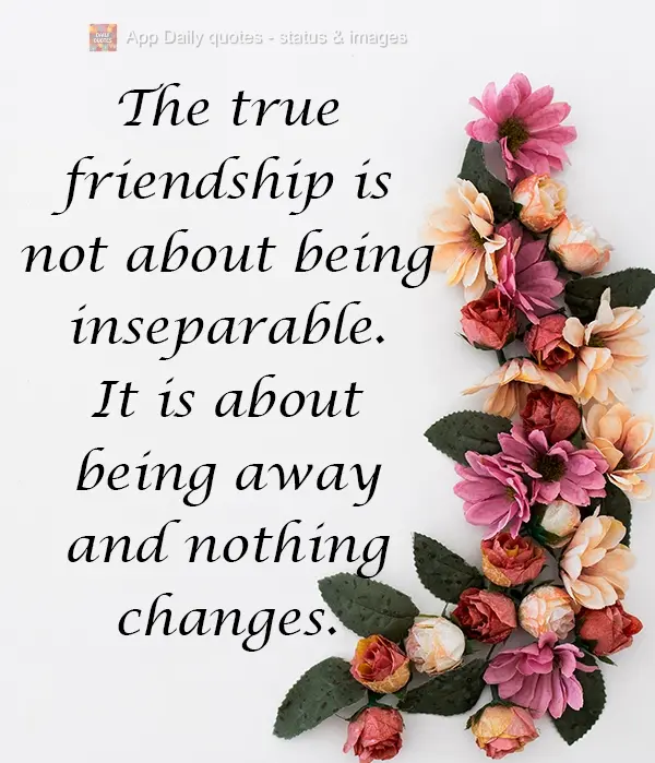 True friendship is not about being inseparable. It is about being away and nothing changes.