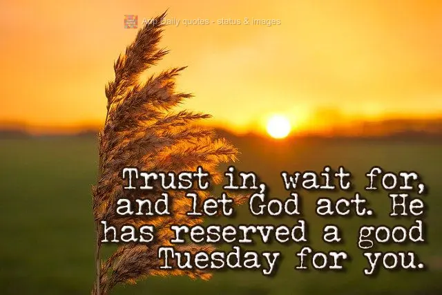 Trust in, wait for, and let God act. He has reserved a good Tuesday for you.