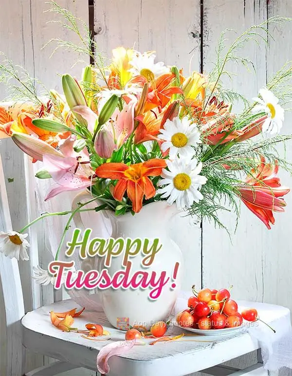 Happy Tuesday!