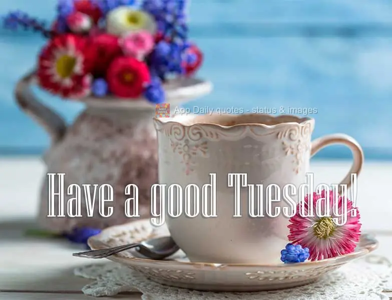 Have a good Tuesday!