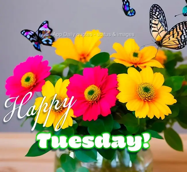 Happy Tuesday!