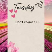 Don't compare yourself to others, everyone has their own path and time. Tuesday