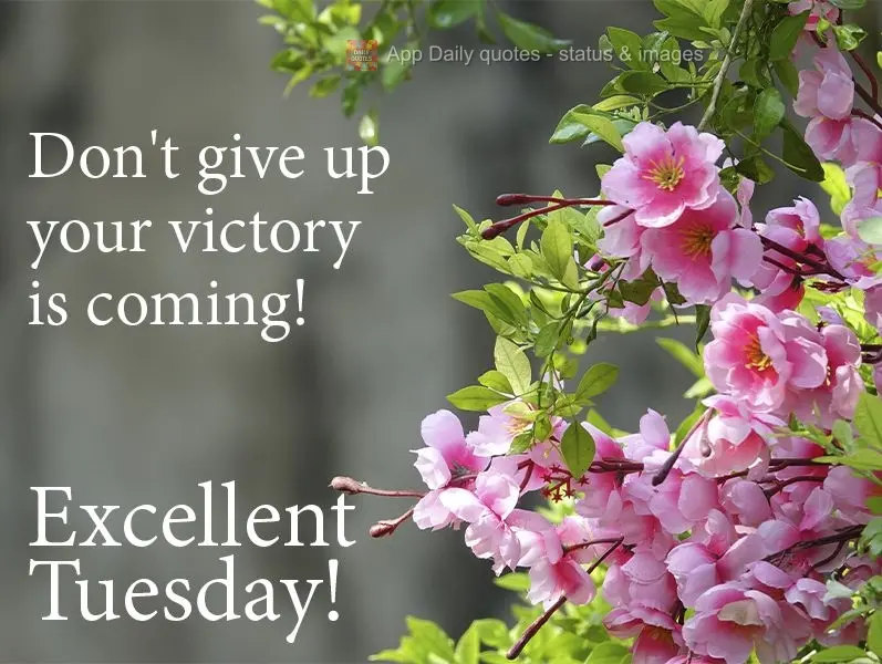 Don't give up. Your victory is coming! Have an excellent Tuesday!