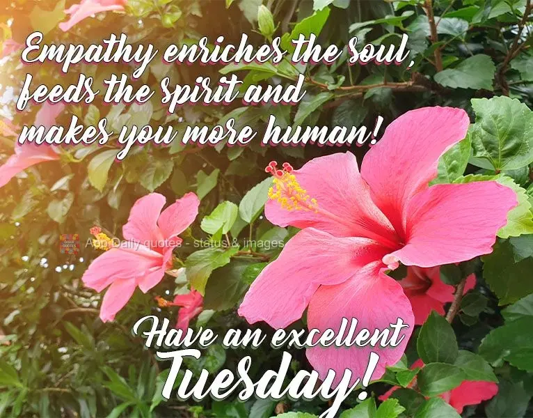 Empathy enriches the soul, feeds the spirit and makes you more human! Have an excellent Tuesday!