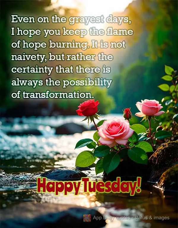 Even on the grayest days, I hope you keep the flame of hope burning. It is not naivety, but rather the certainty that there is always the possibility of ...