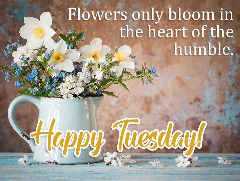 Flowers only bloom in the hearts of the humble. Happy Tuesday!