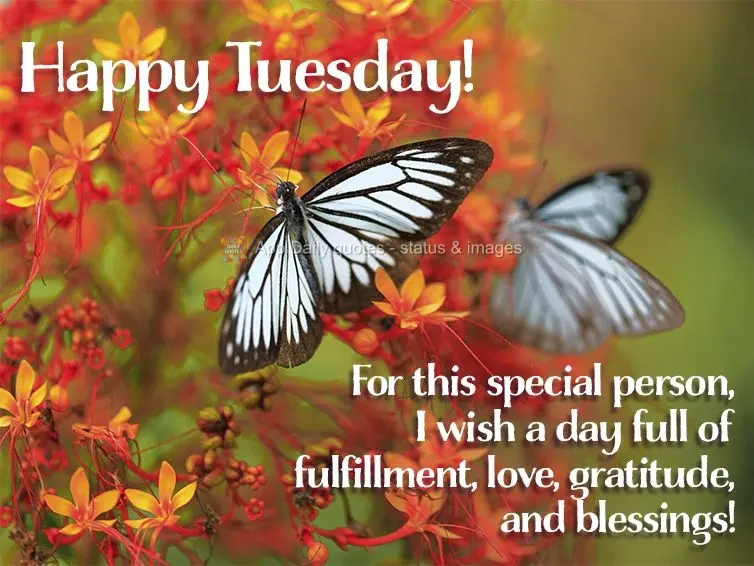 For a special person, I wish a day full of fulfillment, love, gratitude, and blessings! Happy Tuesday!