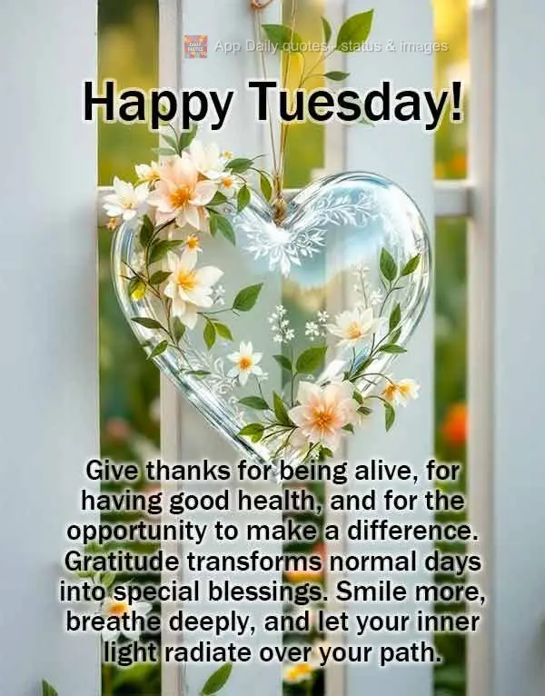 Give thanks for being alive, for having good health, and for the opportunity to make a difference. Gratitude transforms normal days into special blessing...