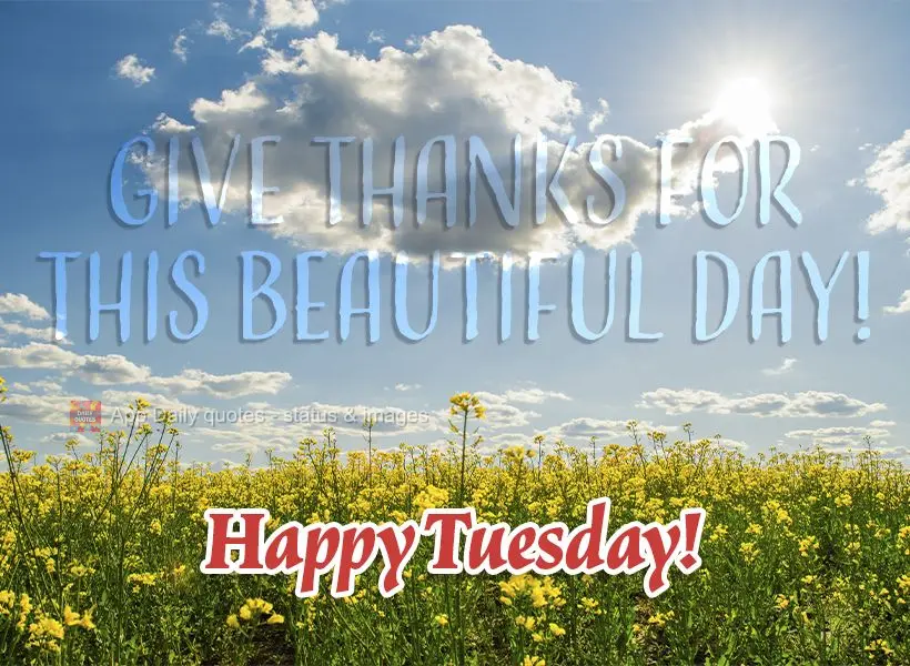 Give thanks for this beautiful day! Happy Tuesday!