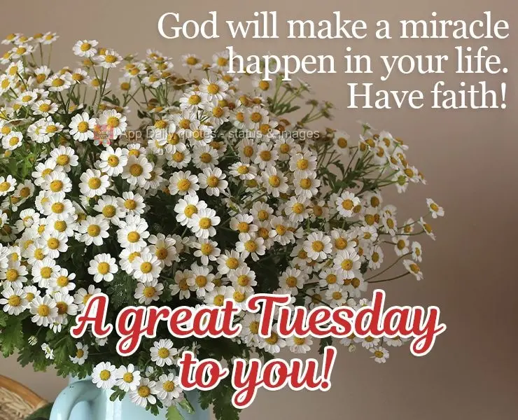 God will make a miracle happen in your life. Have faith!  A great Tuesday to you! 