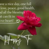 Have a nice day, one full of love, peace, good health, and all the blessings that can fit in your heart! Happy Tuesday!