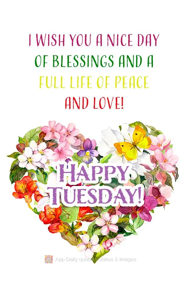 I wish you a nice day of blessings and a full life of peace and love! Happy Tuesday!
