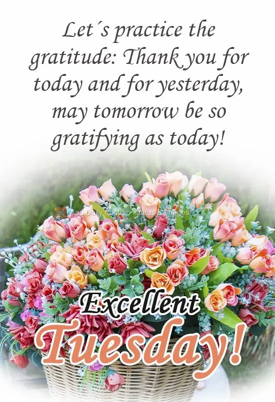 Let's practice gratitude: Thank you for today and for yesterday. May tomorrow be as gratifying as today! Have an excellent Tuesday!