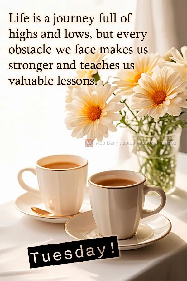 Life is a journey full of highs and lows, but every obstacle we face makes us stronger and teaches us valuable lessons. Tuesday!