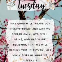 Tuesday
May good will invade our hearts today, and may we spread only love, well-being, and gratitude, believing that we will receive this in return! Li...
