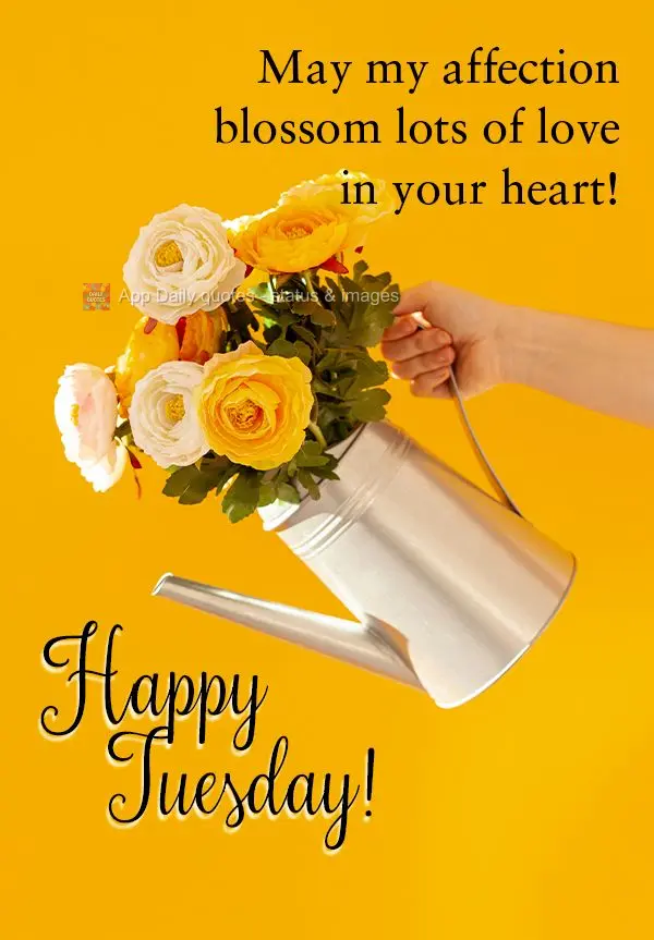 May my affection blossom lots of love in your heart! Happy Tuesday!