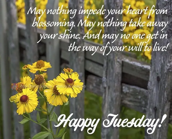May nothing impede your heart from blossoming. May nothing take away your shine. And may no one get in the way of your will to live! Happy Tuesday!