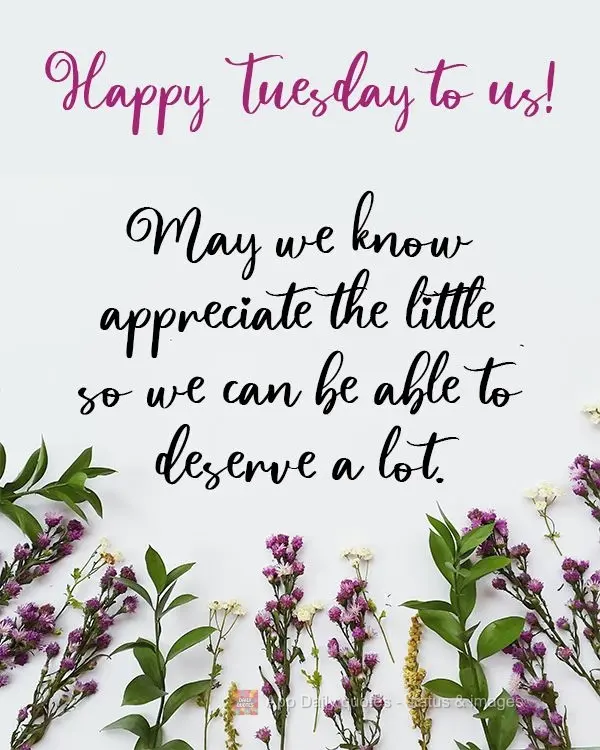 May we appreciate the little things so that we deserve a lot in return.  Happy Tuesday to us!
